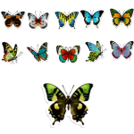 Colourful Butterfly Stickers 10's - Sold Assorted 